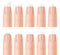 Realistic Detailed 3d Nail Forms Set. Vector