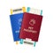 Realistic Detailed 3d Pet Passport and Ticket Set. Vector
