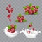 Realistic Detailed 3d Red Cranberry Berries Set. Vector