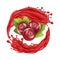 Realistic Detailed 3d Red Cranberry Berries with Splash Juice. Vector