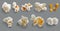 Realistic Detailed 3d Salted and Sweet Popcorn Grains Set. Vector