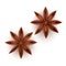 Realistic Detailed 3d Star Aniseed Set. Vector