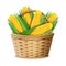 Realistic Detailed 3d Sweet Organic Corn Cob and Rattan Basket with Handle. Vector