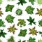 Realistic Detailed 3d Top View Green Plants Seamless Pattern Background. Vector