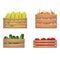 Realistic Detailed 3d Vegetables Wooden Box Set. Vector