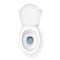 Realistic Detailed 3d White Ceramic Toilet Bowl Top View. Vector