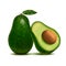 Realistic Detailed 3d Whole Avocado and Slice. Vector
