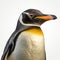 Realistic And Detailed 8k Photo Of A Penguin