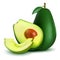 Realistic detailed avocado illustration with halves, sliced and whole avocado. Vector, 3d