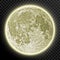 Realistic detailed full moon on transparent background. EPS 10 vector