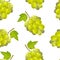 Realistic Detailed Green Bunch Of Grapes Background Pattern. Vector