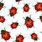 Realistic Detailed Insect Ladybug Seamless Pattern Background Vector