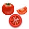 Realistic Detailed Red Tomato and Segment Parts. Vector