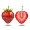 Realistic Detailed Strawberry Whole and a Half. Vector