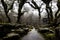 Realistic digital artwork of a park with mossy rocks