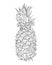 Realistic drawing of fresh pineapple isolated on white background. Exotic tropical fruit line art. Hand drawn vector pineapple