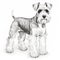 Realistic Drawing Of A Schnauzer Dog In Detailed Rendering
