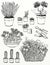 Realistic drawings of plants and gardens Garden flowers, plants, gardening tools With flowering cactus plants,