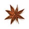 Realistic dried anise star vector with pits
