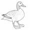 Realistic Duck Coloring Pages For Children\\\'s Coloring Book