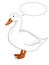 Realistic duck goose illustration drawing illustration drawing drawing coloring drawing illustration