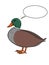 Realistic duck illustration drawing illustration drawing drawing coloring drawing illustration