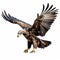 Realistic Eagle In Flight: Hyper-detailed Rendering On White Background