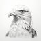 Realistic Eagle Head Sketch Illustration With High Detail