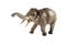 Realistic elephant statue stock images