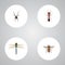 Realistic Emmet, Damselfly, Wasp And Other Vector Elements. Set Of Bug Realistic Symbols Also Includes Wasp, Insect