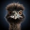 Realistic Emu Clipart With Stunning 3d Rendering