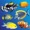 Realistic Exotic Marine Underwater Fauna Set