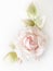 Realistic Fabric Silk flower in light pink cream and white colors rose hand made on white blurred background. Vintage retro style