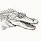 Realistic Fantasy Alligator Head Ink Drawing On White Background