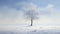 Realistic Fantasy Art: Snowy Tree In Evocative Landscapes