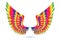 Realistic fantasy colorful angle wings isolated.