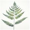 Realistic Fern Green Illustration With Attention To Detail