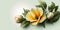 Realistic Floral Illustration of Alamanda Flower Bloom