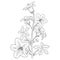 Realistic flower coloring pages, Illustration bellflower drawing, blossom flower drawing. flower coloring page