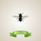 Realistic Fly Element. Vector Illustration Of Realistic Midge Isolated On Clean Background. Can Be Used As Midge, Fly
