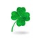 Realistic four-leaf clover illustration