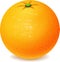 Realistic fresh sweet ripe whole orange fruit isolated on white