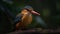 Realistic Frog Photography Of Madagascan Pygmy Kingfisher