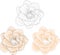 Realistic gardenia flower template set in pastel cream color and black and white