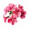Realistic Geranium Flowers On White Surface - Photorealistic Accuracy
