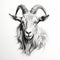 Realistic Goat Head Drawing On White Background - High Contrast Black And White Art