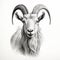 Realistic Goat Portrait Tattoo Drawing In Monochromatic Style