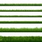 Realistic grass borders. Green garden herb plants, landscape fresh lawn elements, lush meadow gardening foliage vector