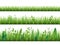 Realistic grass growth. Different stages green plants growing, fresh herbs stripes, lawn borders, garden weeds, broad
