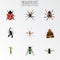 Realistic Grasshopper, Gnat, Arachnid And Other Vector Elements. Set Of Insect Realistic Symbols Also Includes Ladybug